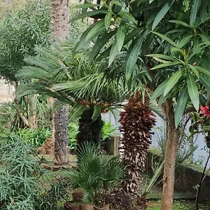  Appartamento La Perle Marine